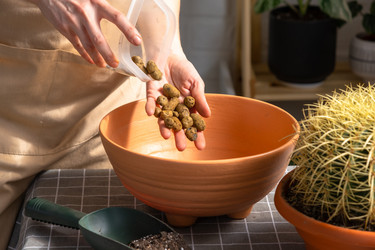 Similar image 21829043