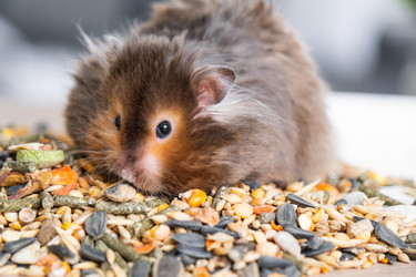 Similar image 21829044