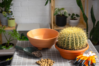 Similar image 21829045