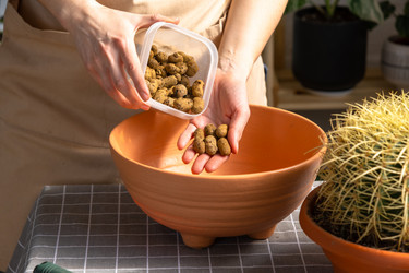 Similar image 21829047