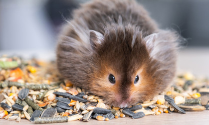 Similar image 21829048