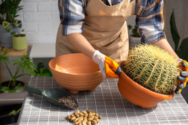 Similar image 21829336