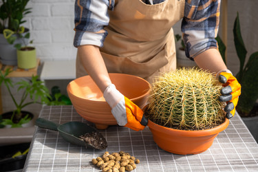 Similar image 21829340