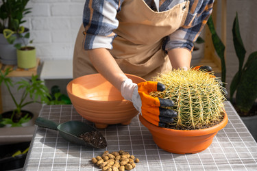 Similar image 21829342