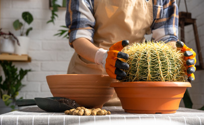 Similar image 21829344