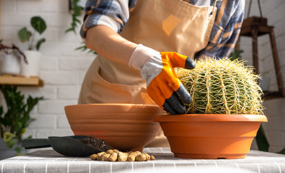 Similar image 21829346