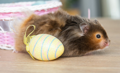 Similar image 21829349