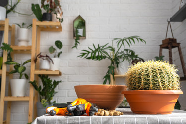 Similar image 21829350