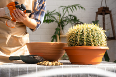 Similar image 21829352