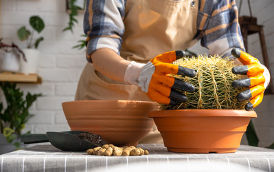 Similar image 21829354