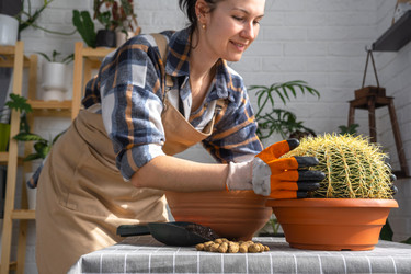 Similar image 21829358