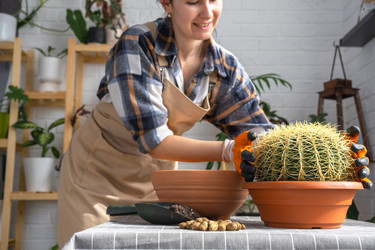 Similar image 21829362