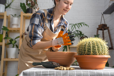 Similar image 21829366