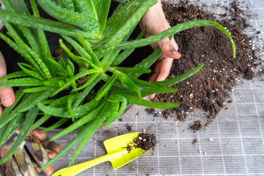 Similar image 21829367