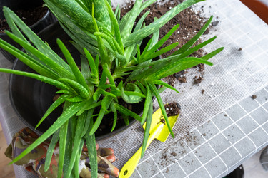 Similar image 21829369