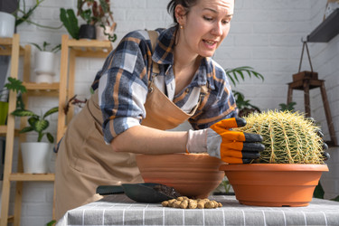 Similar image 21829370