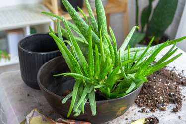 Similar image 21829371