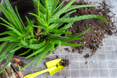 Similar image 21829373