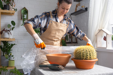 Similar image 21828610