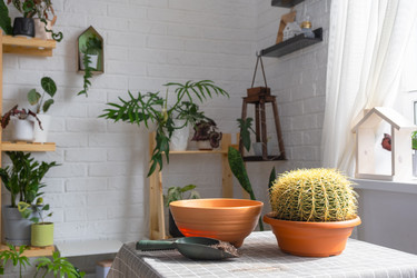 Similar image 21828612