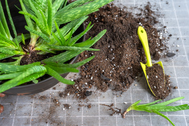 Similar image 21828617