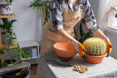 Similar image 21828618