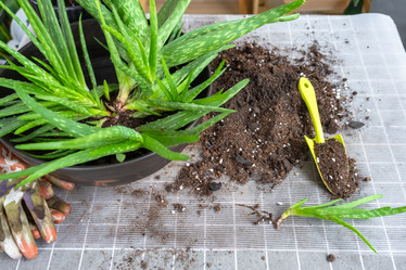 Similar image 21828621