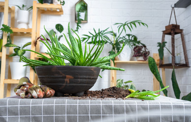 Similar image 21828623