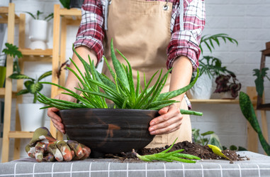 Similar image 21828625