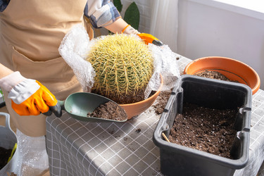 Similar image 21828626