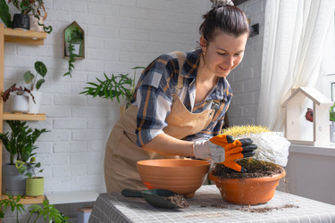 Similar image 21828628