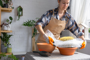 Similar image 21828629