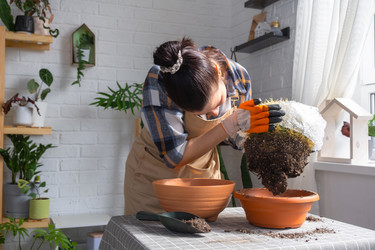 Similar image 21828630