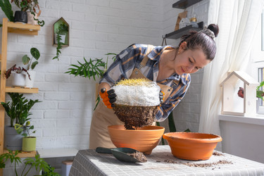 Similar image 21828631