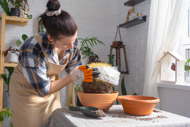 Similar image 21828632