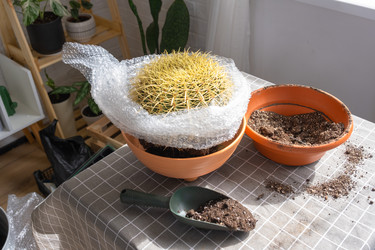 Similar image 21828635