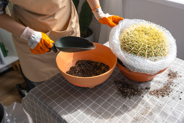 Similar image 21828638