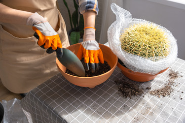 Similar image 21828639