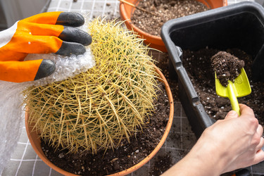 Similar image 21828645