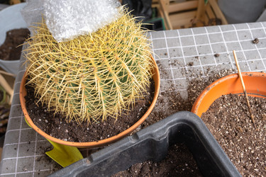 Similar image 21828646