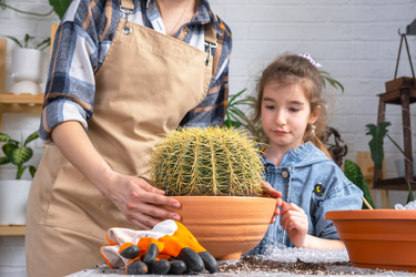 Similar image 21828649