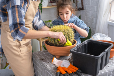 Similar image 21828650