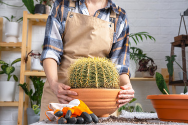 Similar image 21828651