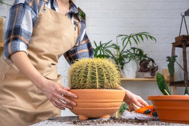 Similar image 21828653