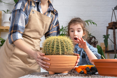 Similar image 21828655