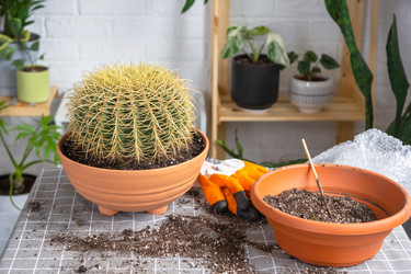 Similar image 21828656