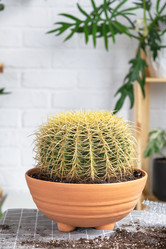 Similar image 21828657