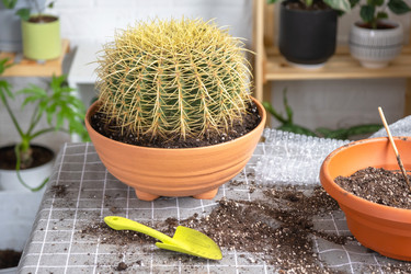 Similar image 21828659