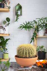 Similar image 21828660