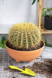 Similar image 21828661